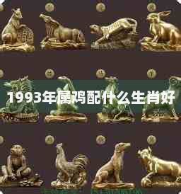 1993年属什么生肖